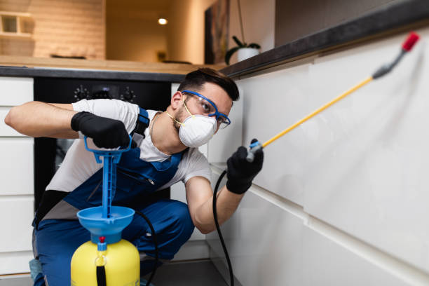Best Affordable Pest Control Services  in Winnsboro, LA
