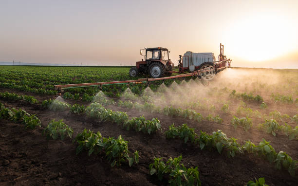 Best Pest Inspection Near Me  in Winnsboro, LA