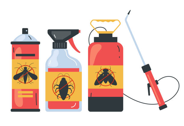 Best Ant Control Services  in Winnsboro, LA