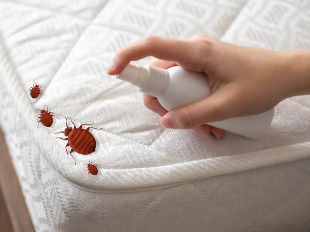 Best Affordable Pest Control Services  in Winnsboro, LA