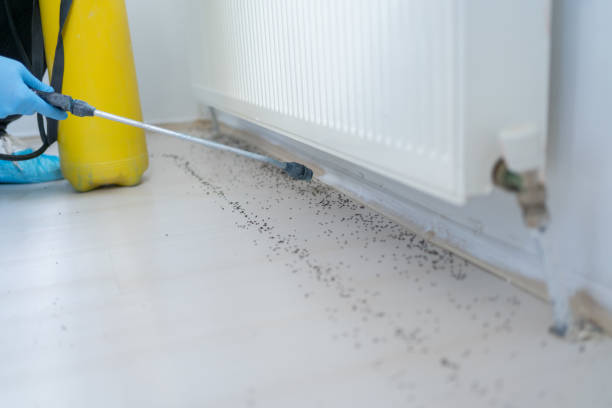 Best Mosquito Control Services  in Winnsboro, LA