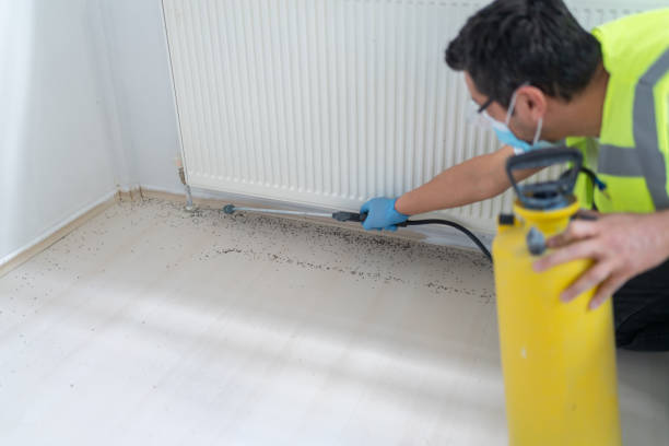 Best Pest Inspection Near Me  in Winnsboro, LA